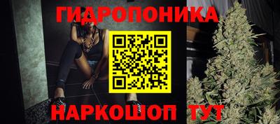 стафф Новокубанск