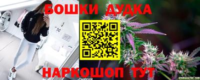 мдпв Новозыбков