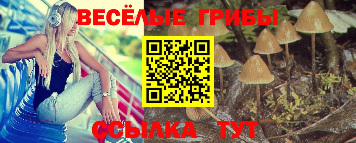 Псилоцибиновые грибы мухоморы Советский