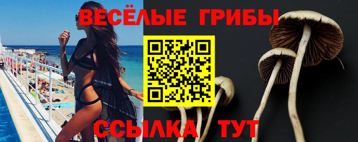 Псилоцибиновые грибы мицелий  Вход с VPN  Советский 